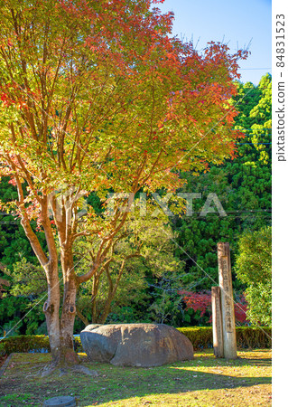 Kiryu River headwaters forest 100 selections of water source forests Autumn leaves season Autumn scenery Kiryu River headwaters forest 100 selections of water source forests Autumn leaves season Autumn scenery 84831523