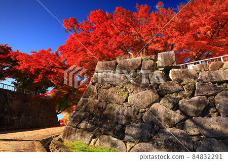 Iwate Park in autumn colors, Morioka City, Iwate Prefecture Iwate Park in autumn colors, Morioka City, Iwate Prefecture 84832291
