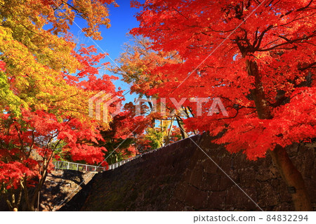 Iwate Park in autumn colors, Morioka City, Iwate Prefecture 84832294