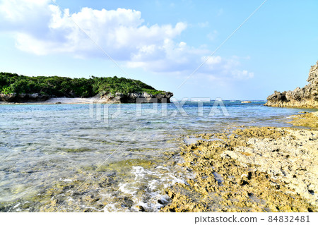 Around Bisezaki (Nago City, Okinawa Prefecture) [2019.10] 84832481