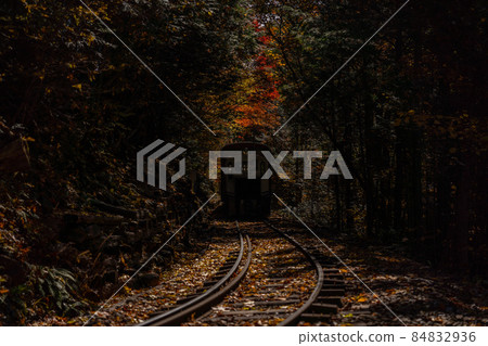 Autumn Akasawa Natural Recreation Forest and surrounding scenery 84832936