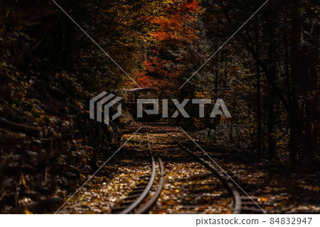 Autumn Akasawa Natural Recreation Forest and surrounding scenery 84832947