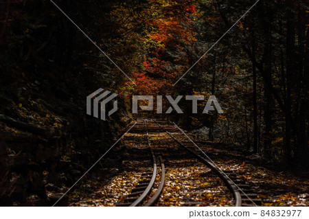 Autumn Akasawa Natural Recreation Forest and surrounding scenery Autumn Akasawa Natural Recreation Forest and surrounding scenery 84832977