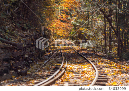Autumn Akasawa Natural Recreation Forest and surrounding scenery 84832999