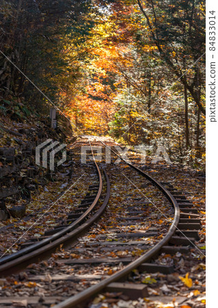 Autumn Akasawa Natural Recreation Forest and surrounding scenery Autumn Akasawa Natural Recreation Forest and surrounding scenery 84833014