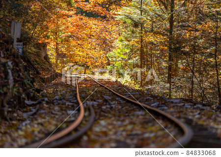 Autumn Akasawa Natural Recreation Forest and surrounding scenery 84833068