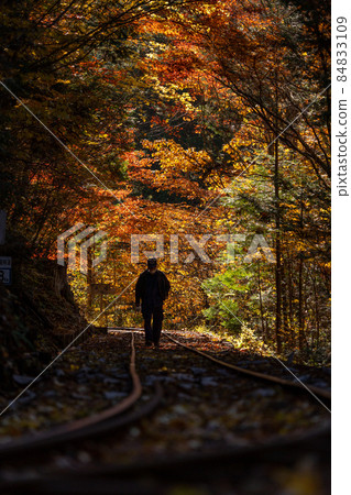 Autumn Akasawa Natural Recreation Forest and surrounding scenery 84833109