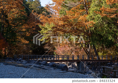 Autumn Akasawa Natural Recreation Forest and surrounding scenery 84833324