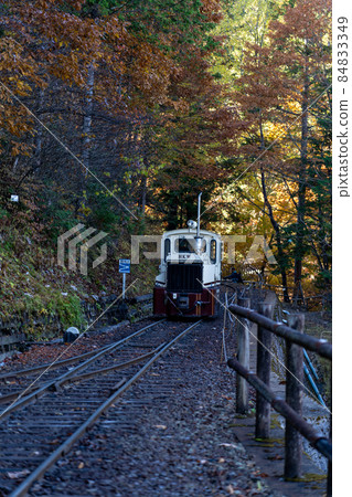 Autumn Akasawa Natural Recreation Forest and surrounding scenery 84833349