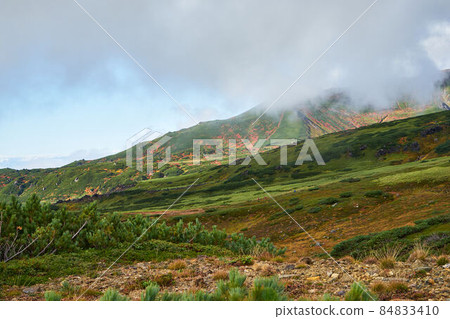 Autumn leaves of Mt. Asahidake, Hokkaido Autumn leaves of Mt. Asahidake, Hokkaido 84833410
