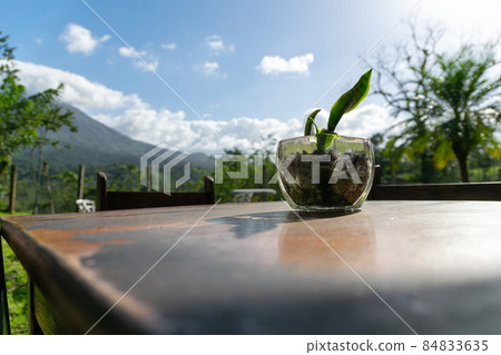 Photograph of the foot of Poas Volcano in Costa Rica 84833635