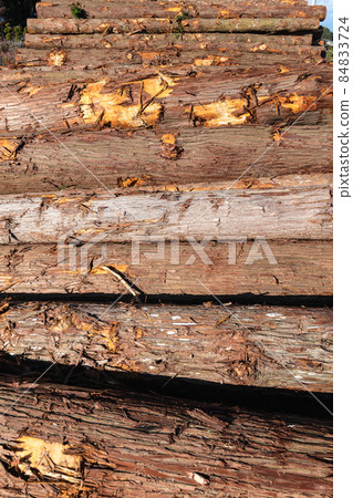 Forestry logging site storage yard 84833724