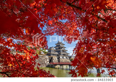 Autumn Matsumoto Castle and surrounding scenery Autumn Matsumoto Castle and surrounding scenery 84833903