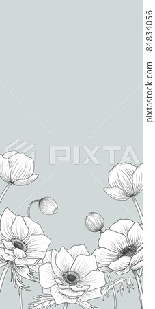 Anemone flower background material, vertical mobile phone standby, etc. 84834056