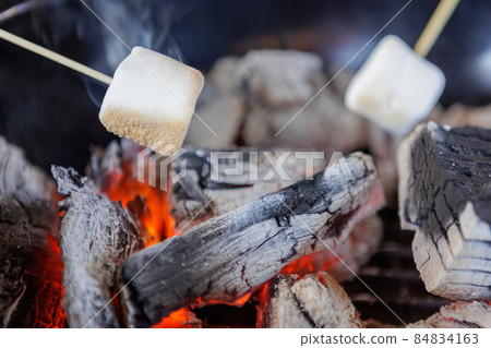 營地的篝火和烤棉花糖 84834163