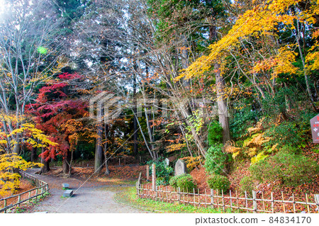Iwate Prefecture Hiraizumi World Cultural Heritage Chusonji Tsukimizaka Autumn leaves and stone monument 84834170