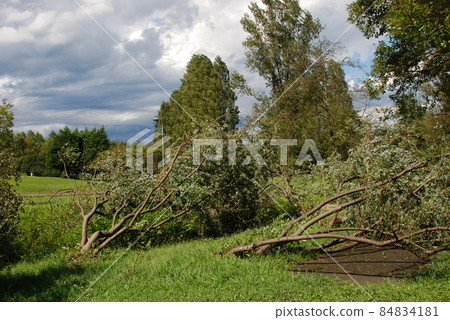 Typhoon claws 84834181