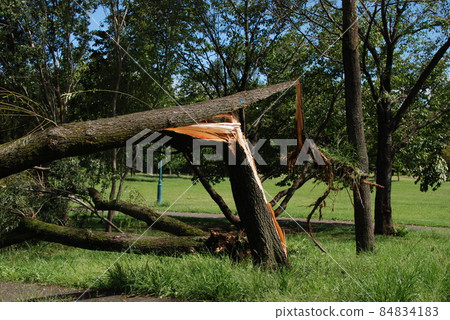 Typhoon claws 84834183