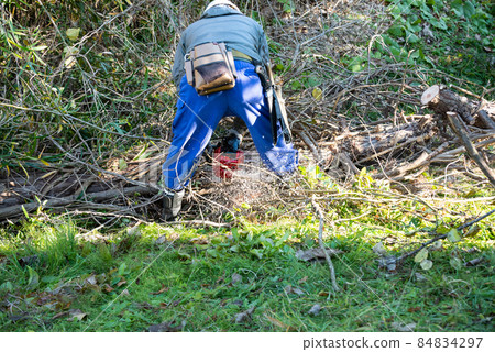 用鏈鋸處理倒下的樹 84834297