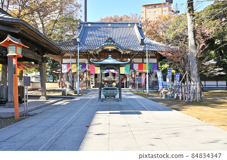 Kawagoe walk: Renkeiji Temple, Jodo sect, Donryudo Kawagoe walk: Renkeiji Temple, Jodo sect, Donryudo 84834347