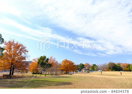 Koedo Kawagoe:在白雲和藍天中閃耀的川越運動公園 黃色的樹葉和長椅 廣場上家庭玩耍的風景 Koedo Kawagoe:在白雲和藍天中閃耀的川越運動公園 黃色的樹葉和長椅 廣場上家庭玩耍的風景 84834378