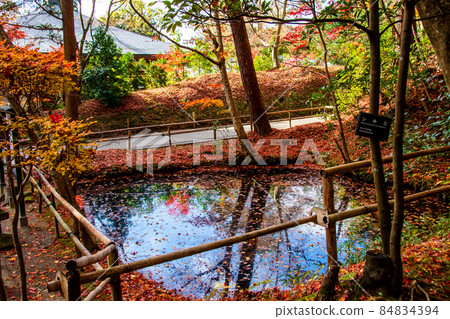 Iwate Prefecture Hiraizumi World Cultural Heritage Chusonji Mine Yakushido and Pond 84834394