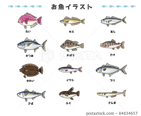 魚插圖集 魚插圖集 84834657