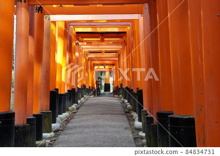Fushimi Inari shrine Torigo 84834731