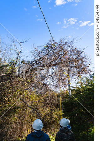 專業人士拆除掉在電線上的樹 專業人士拆除掉在電線上的樹 84834744