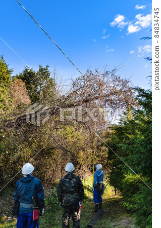 專業人士拆除掉在電線上的樹 84834745