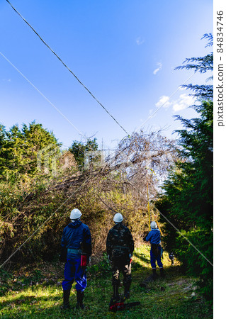 Removal work by a professional of a tree that fell to an electric wire Removal work by a professional of a tree that fell to an electric wire 84834746