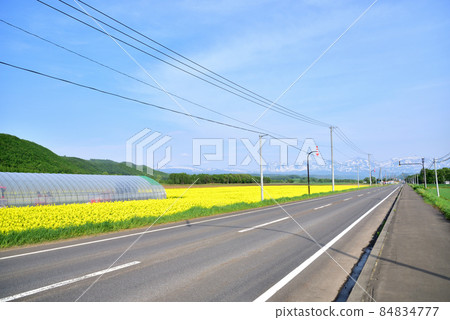 Biei Spring Road Tokachidake Onsen Biei Line Tokachi Mountain Range with Remaining Snow Rape Fields and Tokachi Mountain Range Northern Spring Northern Country Image Biei Spring Road Tokachidake Onsen Biei Line Tokachi Mountain Range with Remaining Snow Rape Fields and Tokachi Mountain Range Northern Spring Northern Country Image 84834777