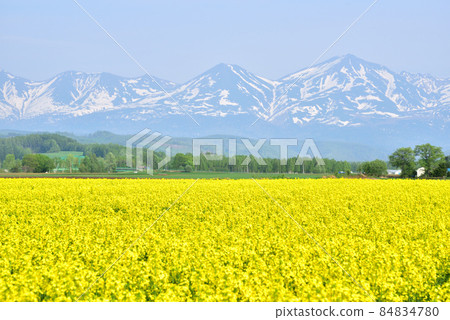 Biei Spring Tokachi Mountain Range with Remaining Snow Rape Fields and Tokachi Mountain Range Northern Spring Northern Country Image 84834780
