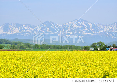 Biei Spring Tokachi Mountain Range with Remaining Snow Rape Fields and Tokachi Mountain Range Northern Spring Northern Country Image 84834781