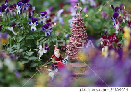 聖誕花園 84834934