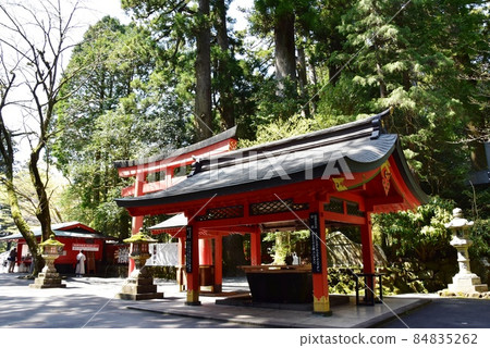 箱根町箱根神社院內長津屋和翠綠 箱根町箱根神社院內長津屋和翠綠 84835262
