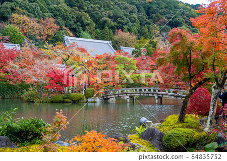 Eikando Garden Autumn Leaves Eikando Garden Autumn Leaves 84835752