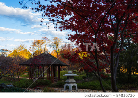 Autumn leaves and lanterns in Canberra Nara Peace Park in Lenox Garden, the capital of Australia Autumn leaves and lanterns in Canberra Nara Peace Park in Lenox Garden, the capital of Australia 84836720