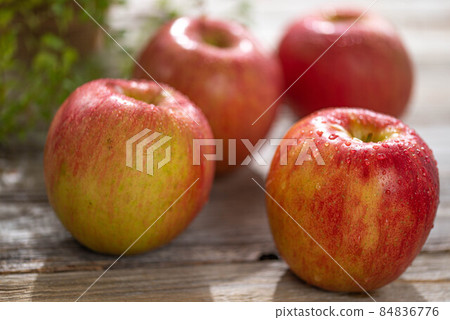 With honey! Very sweet apples Winter taste With honey! Very sweet apples Winter taste 84836776