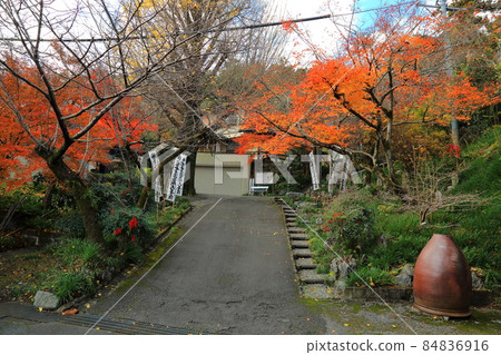 秋季金生山妙乘林寺步道96（岐阜縣大垣市赤坂） 84836916