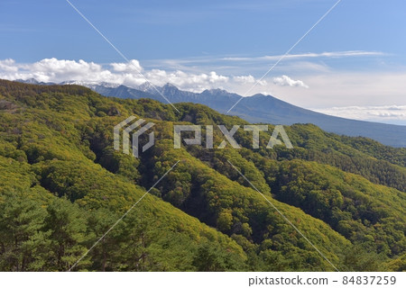 拍一張雪妝的八岳和開始變成黃綠色的立科山。 拍一張雪妝的八岳和開始變成黃綠色的立科山。 84837259