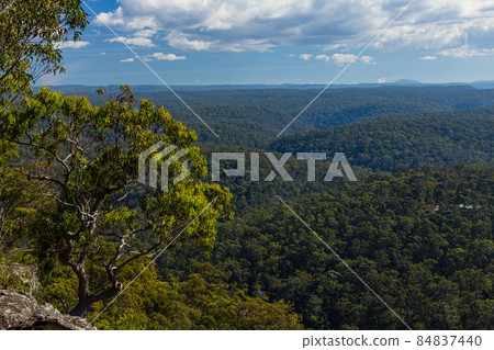 澳大利亞新南威爾士州藍山國家公園的風景 澳大利亞新南威爾士州藍山國家公園的風景 84837440