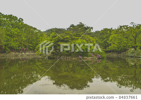 昌慶宮春堂寺 84837661