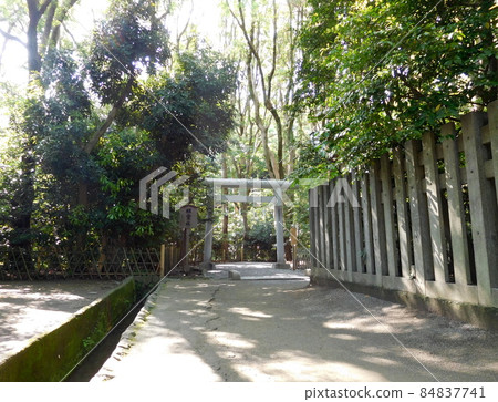 鎌倉：通往鶴岡八幡宮的神社之路 84837741