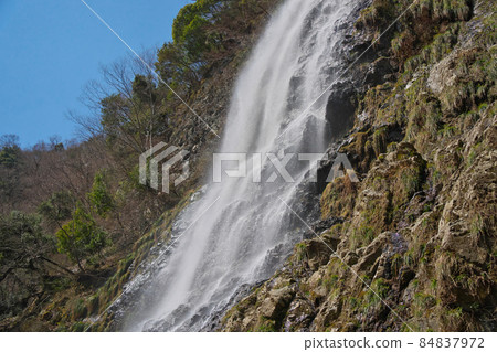 《Hyogo Prefecture》 Quasi-national park, scenery of Tendaki Valley [March] 84837972
