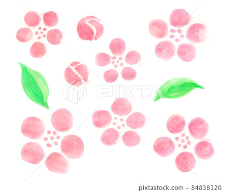 Watercolor peach blossom Hinamatsuri Watercolor peach blossom Hinamatsuri 84838120
