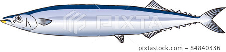 Sanma 84840336
