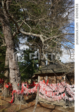 遠野遺產紋取神社（紋取神社） 84840638