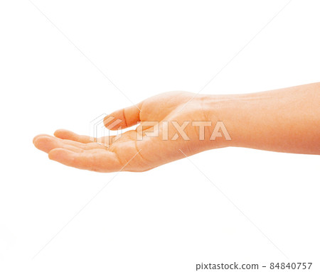 手材料姿勢 84840757