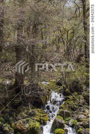 A waterfall that looks beautiful in the sun A waterfall that looks beautiful in the sun 84842078